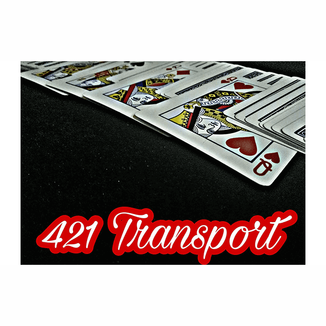 421 Transport by David Luu video DOWNLOAD