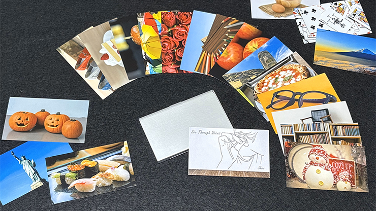 See Through Voices by Show