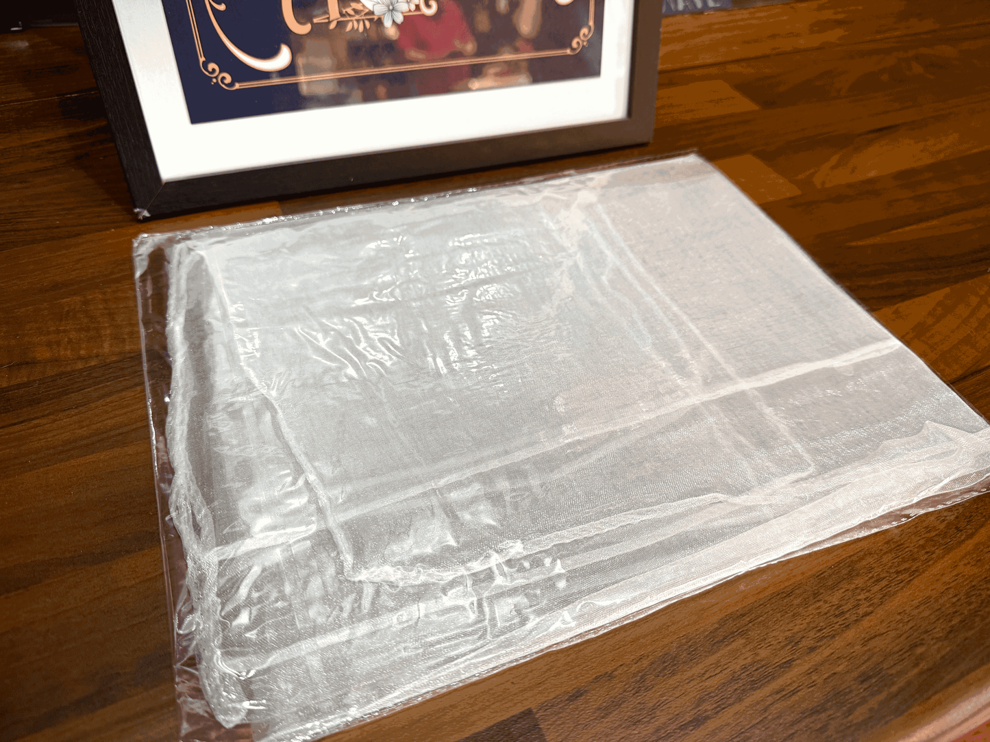 Coins Thru Silk (SILK ONLY NO ROUTINE) by Michael Ammar