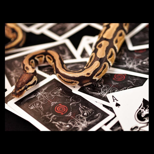 Venom Bicycle Playing Cards By Alakazam