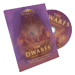 The Dwarfs DVD by Stefan Olschewski