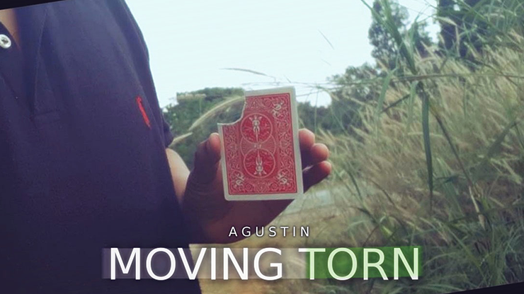 Moving Torn by Agustin video DOWNLOAD