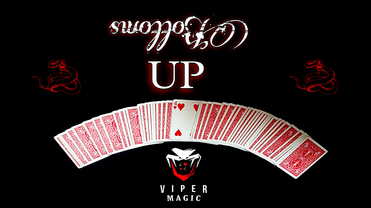 Bottoms UP by Viper Magic video DOWNLOAD