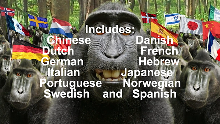 100th Monkey Multi-Language by Chris Philpott