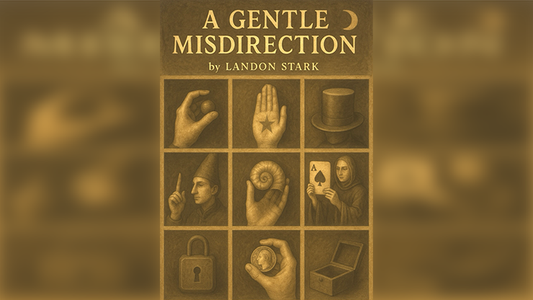 A Gentle Misdirection by Landon Stark eBook DOWNLOAD