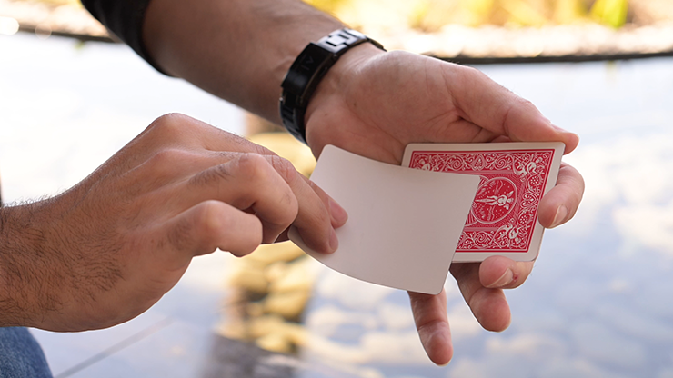 Kid Canvas by Adrian Vega