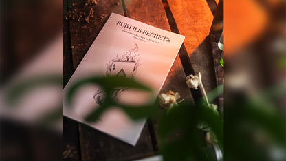 Subtle Secrets 1 by Thibault Ternon