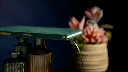 The Hummingbirds by Luke Jermay