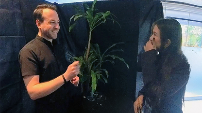 Echo Book Test by Vincent Hedan (Tarot de Marseille)