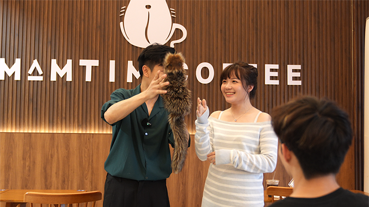 Tricky Raccoon by Liang Kuai & Amor Magic