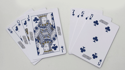Georgia Southern Playing Cards