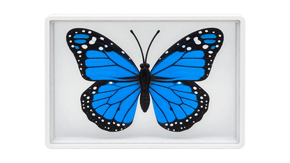 Omni Butterfly by Hyde Ren & Bacon Magic