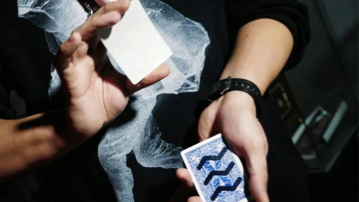 Flexible Wave by Wang Zhe & Bacon Magic