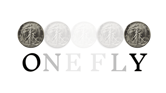 OneFly by Pieter Hofstra video DOWNLOAD