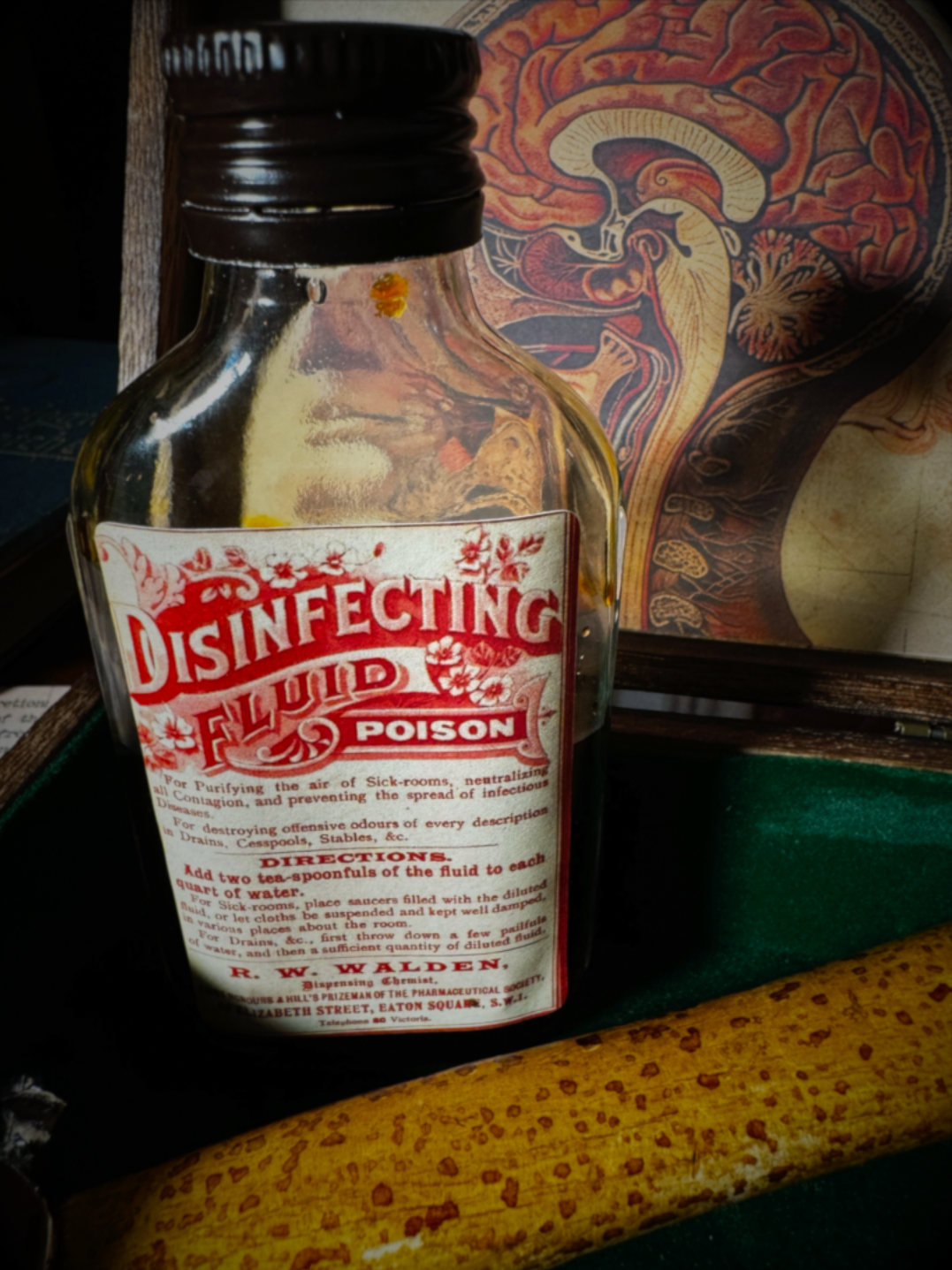 Cerebrum by Dead Rebel