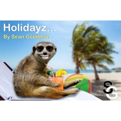 Holidayz by Sean Goodman