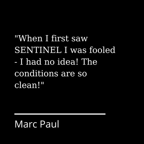 Sentinel by Adam Dadswell