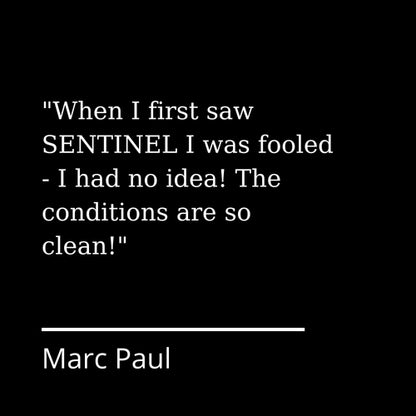 Sentinel by Adam Dadswell