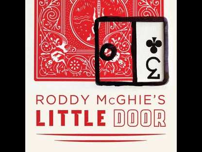 Little Door by Roddy McGhie