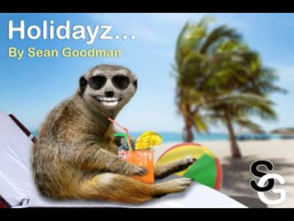 Holidayz by Sean Goodman