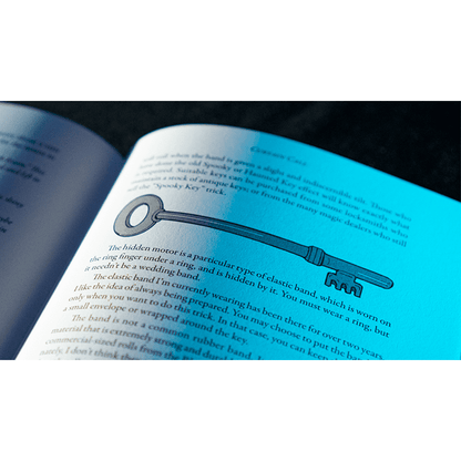 Curtain Call by  Barrie Richardson - Book