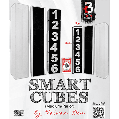 Smart Cubes (Medium / Parlor) by Taiwan Ben - Trick