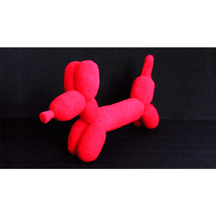 Sponge Balloon Dog by Alexander May - Trick