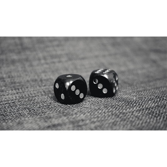 Loaded Dice (Weighted, Wood, Black) - Tricks