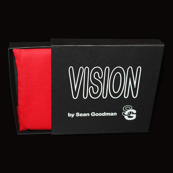 Vision (Standard Business Card Size) by Sean Goodman - Trick