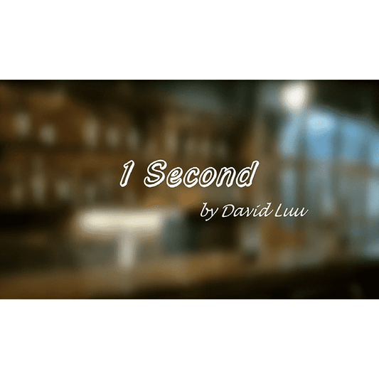 One Second by David Luu Video DOWNLOAD