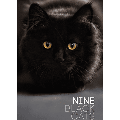 Nine Black Cats by Neema Atri eBook DOWNLOAD