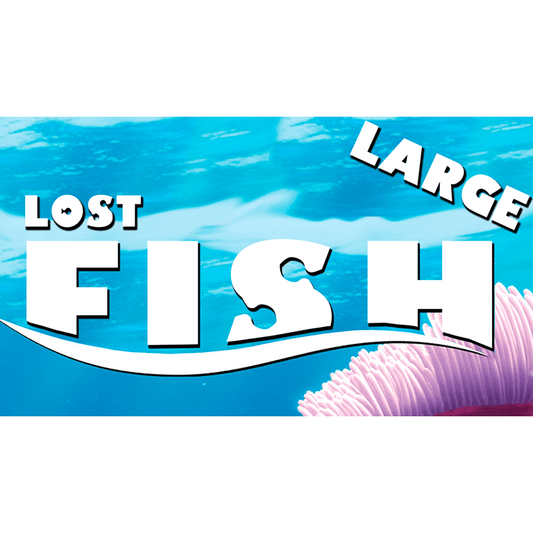 Lost Fish (Large) by Aprendemagia - Trick