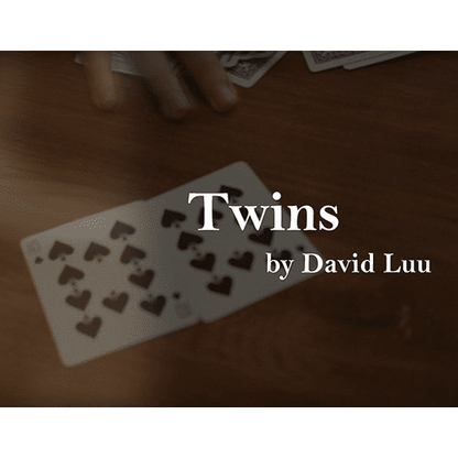 Twins by David Luu video DOWNLOAD