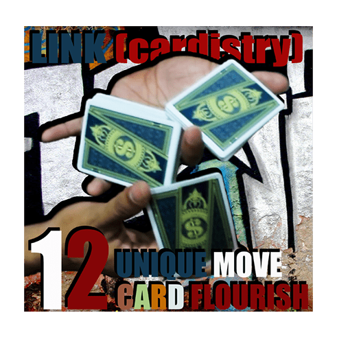 LINK (Cardistry Project) by SaysevenT video DOWNLOAD