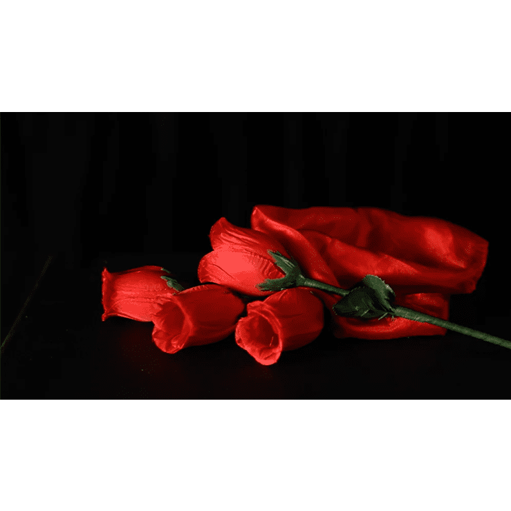 The Rose 2.0 (Red) by Bond Lee & Wenzi Magic - Trick