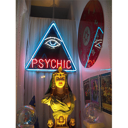 Private Medium & Fortune Tellers Secret Psychic Cold Reading Notebooks by Nathan Demdyke Mixed Media DOWNLOAD