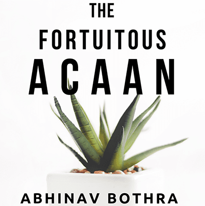 The Fortuitous ACAAN by Abhinav Bothra Mixed Media DOWNLOAD