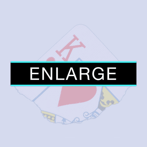 Enlarge (DVD and Gimmicks) by SansMinds - DVD