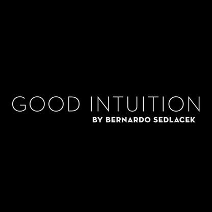 Good Intuition by Bernardo Sedlacek video DOWNLOAD