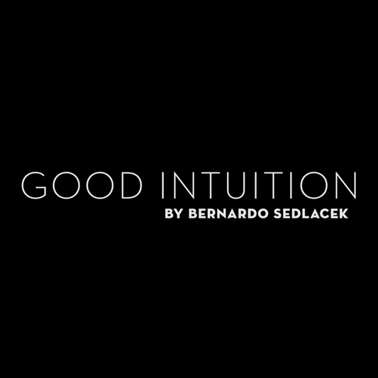 Good Intuition by Bernardo Sedlacek video DOWNLOAD
