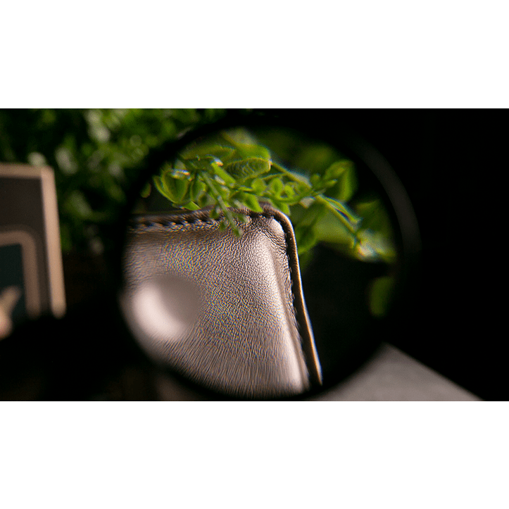 Easy Money Brown Wallet (Gimmick and Online Instructions) by Spencer Kennard - Trick