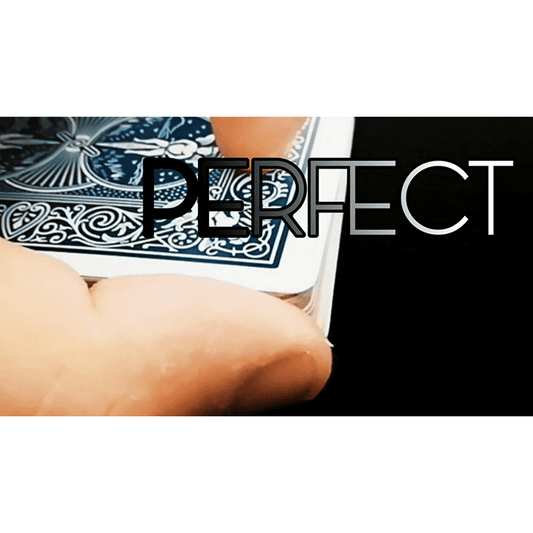 Perfect by Alessandro Criscione video DOWNLOAD