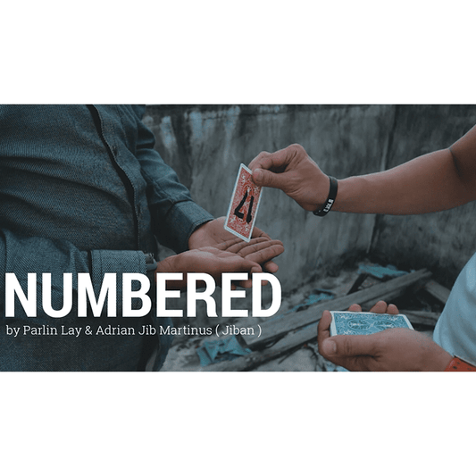 Numbered by Parlin Lay video DOWNLOAD