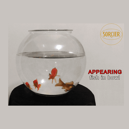 APPEARING FISH IN BOWL by Sorcier Magic