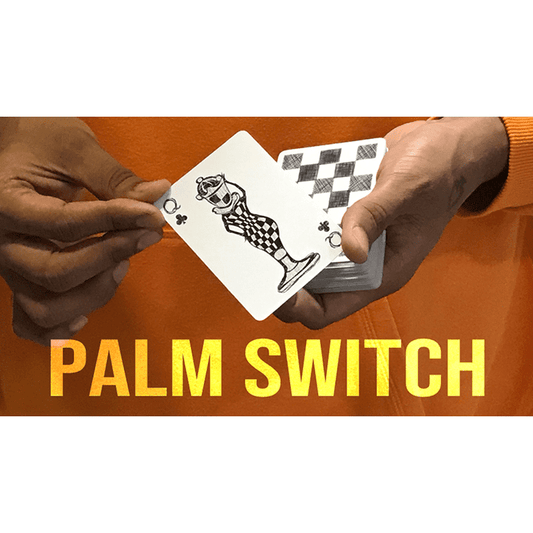 Magic Encarta Presents Palm Switch & Palm Control by Vivek Singhi