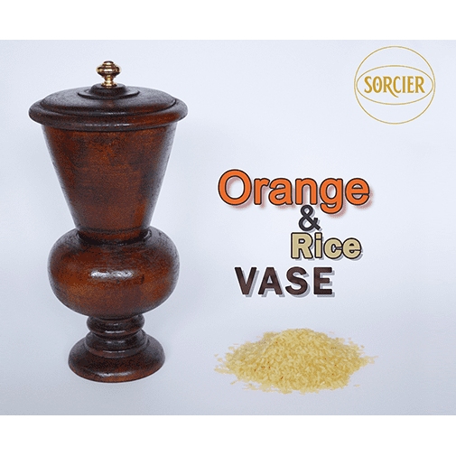 Orange and Rice Vase by Sorcier Magic