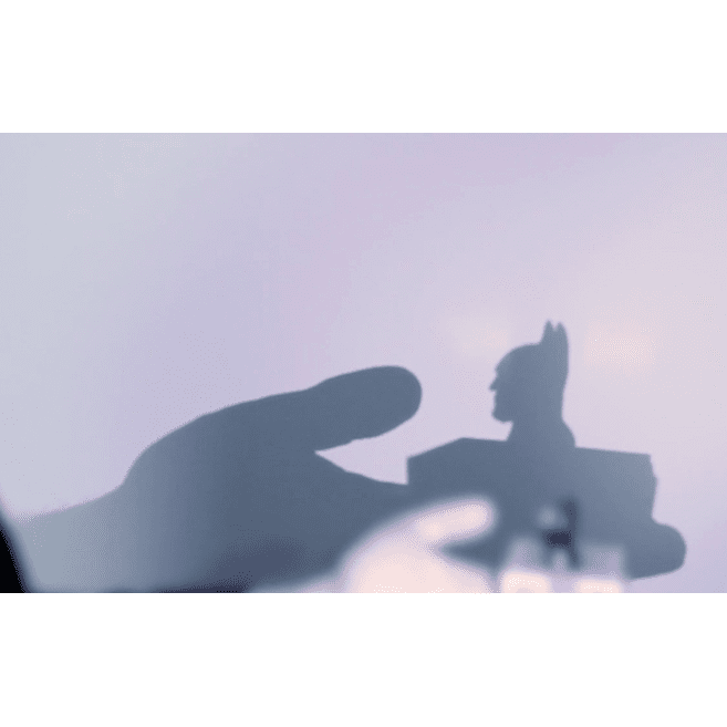Shadow Art (Bat Man) by Mathieu Bich - Trick