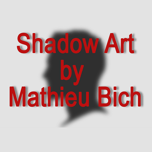 Shadow Art (Bat Man) by Mathieu Bich - Trick