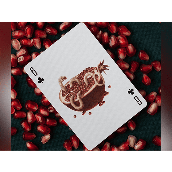 Cabinetarium Playing Cards by Art of Play