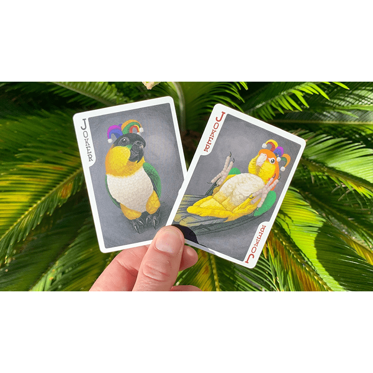 Bicycle Parrot Playing Cards